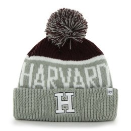 Harvard müts