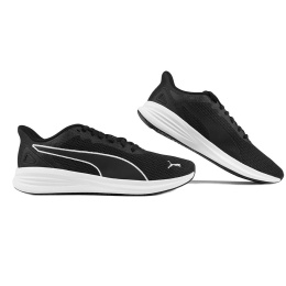 Puma kingad