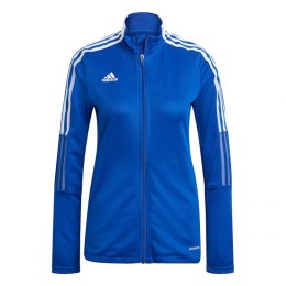 Adidas kampsun