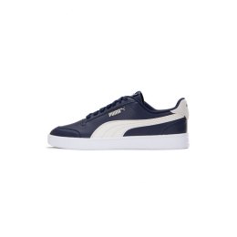 Puma kingad