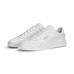 Puma kingad