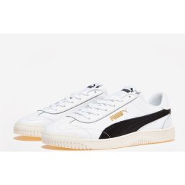 Puma kingad