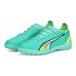 Puma kingad