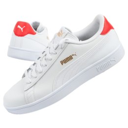 Puma kingad