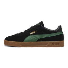 Puma kingad