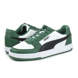 Puma kingad