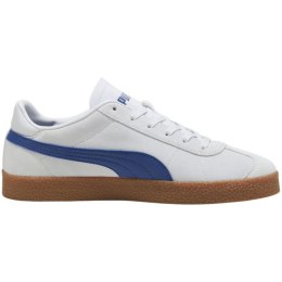 Puma kingad