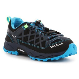 Salewa kingad