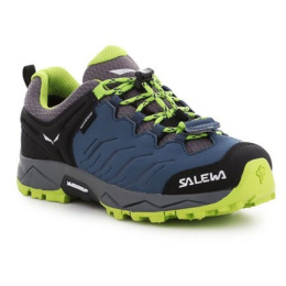 Salewa kingad