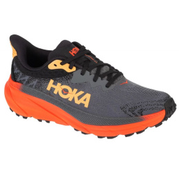 Hoka kingad