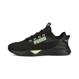 Puma kingad