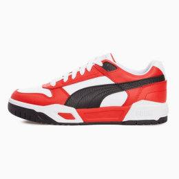 Puma kingad