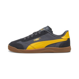 Puma kingad