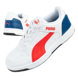 Puma kingad