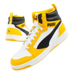 Puma kingad